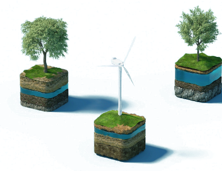 trees