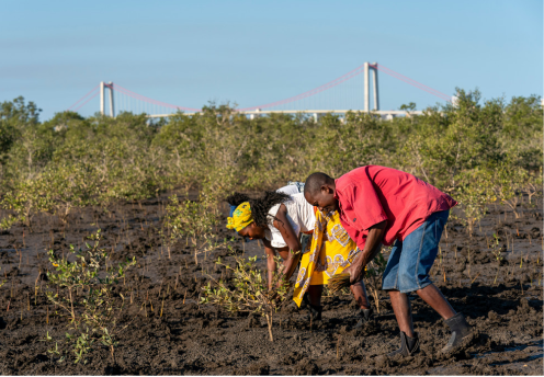 mozambique